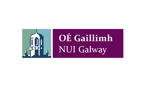 Nicolas Jacquemet - CLIENTS - Academics - NUI Galway geofluid research group